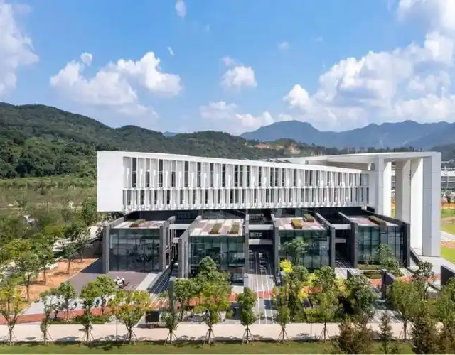 那不勒斯第二大学